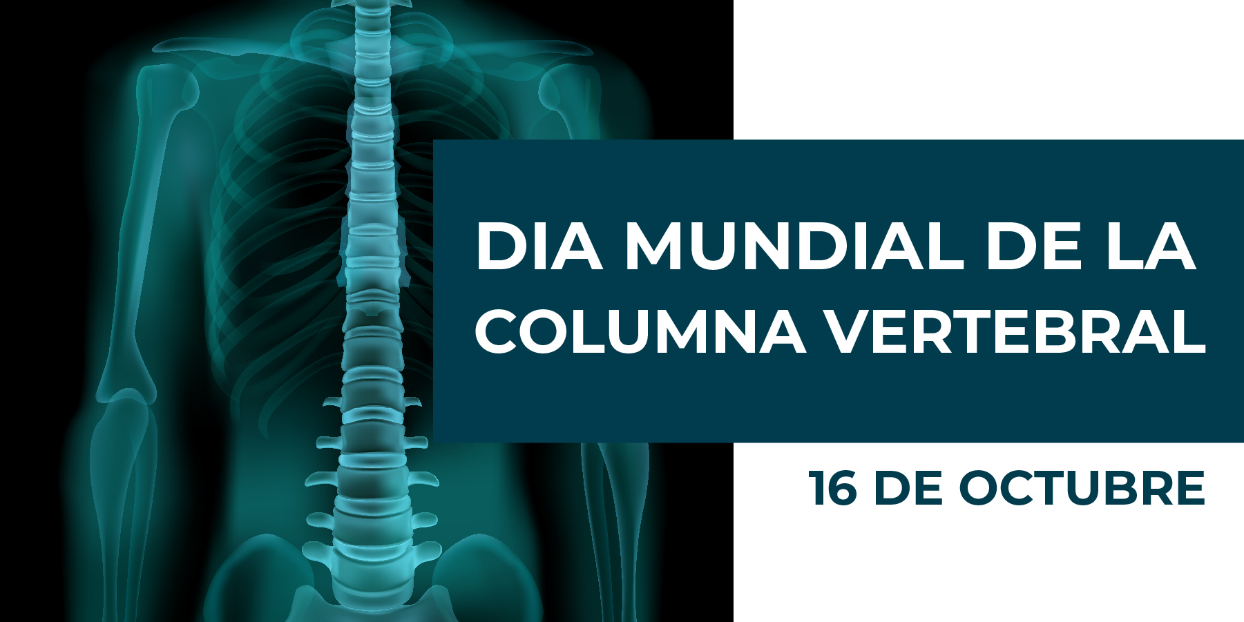 Día Mundial de la Columna Vertebral: Cuida tu Salud y Vive Sin Dolor ...